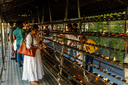 Groß (kandy-sri-lanka-jan-17-2017-hindu-people-in-r-2024-11-10-23-10-46-utc).webp