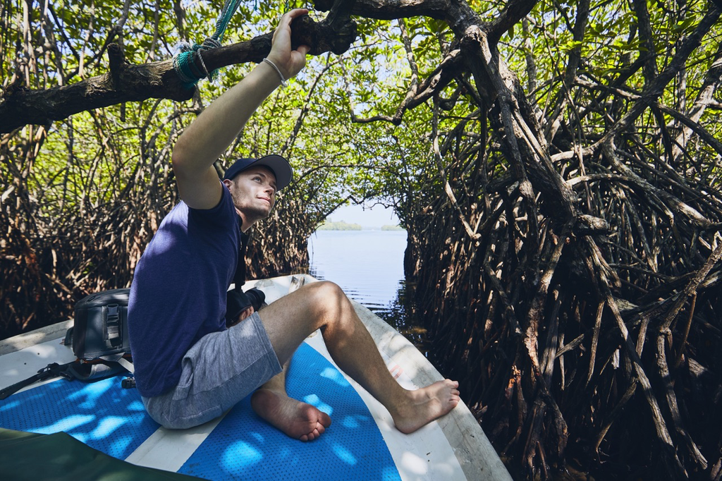Boat-Safari in den Mangroven von Bentota