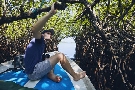 Boat-Safari in den Mangroven von Bentota
